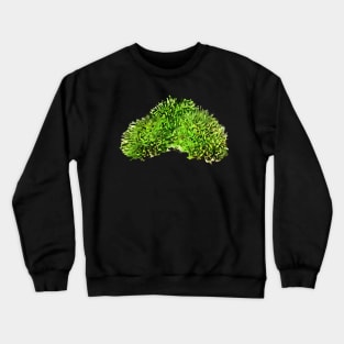 Moss (Bryopsida) Crewneck Sweatshirt